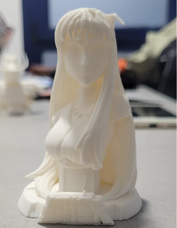 https://makerworld.bblmw.com/makerworld/model/US90a9047f68990d/design/2024-10-06_235584c84409a.jpg