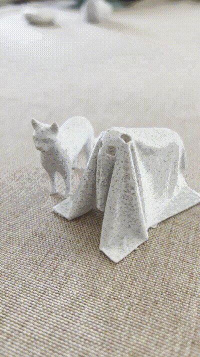 Cat Ghost with Removable Sheet 
