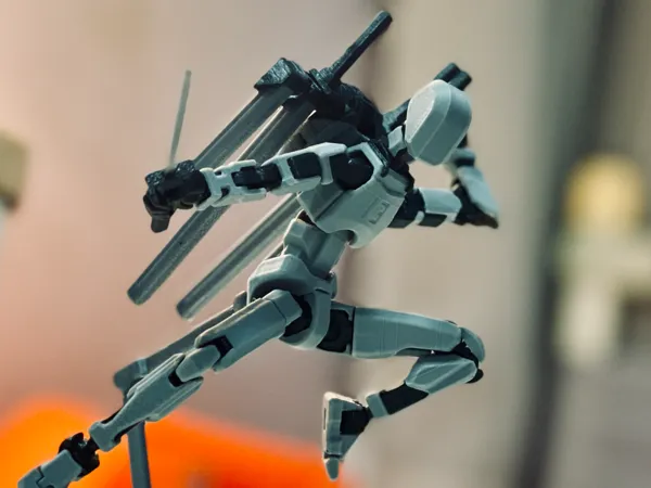 https://makerworld.bblmw.com/makerworld/model/US90af4dc85536f0/design/2024-12-29_80c330f2cc49a.jpg