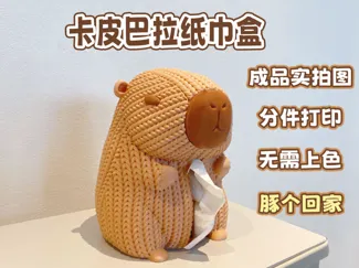 卡皮巴拉纸巾盒&存钱罐-针织版