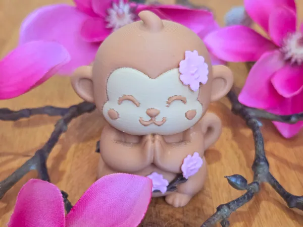 https://makerworld.bblmw.com/makerworld/model/US90b1c415fd806f/design/2025-06-28_7e26017a701178.jpg