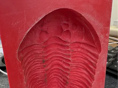 Trilobite for Garden Ornament