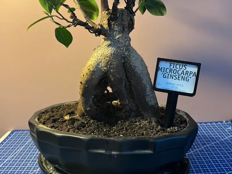 plant name tag holder (interchangeable)