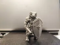 Paladin
