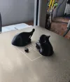Cat/heart model divided into 2