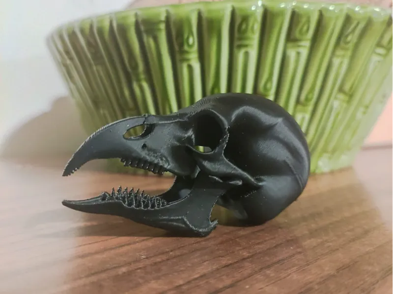 Crow Skull
