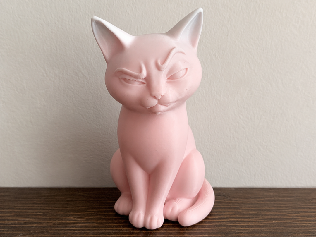 Cat With Raised Eyebrows