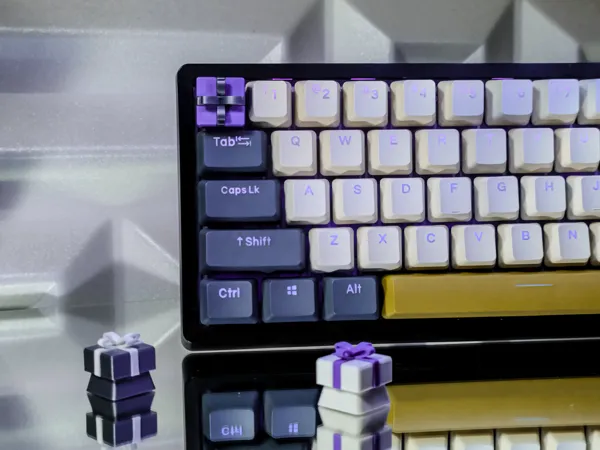 https://makerworld.bblmw.com/makerworld/model/US90c3a32b09a65f/design/2024-11-19_677bb2612af69.jpg