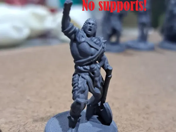 https://makerworld.bblmw.com/makerworld/model/US90c3fa1919ad16/design/2025-01-14_7f1cc2645d1d4.png