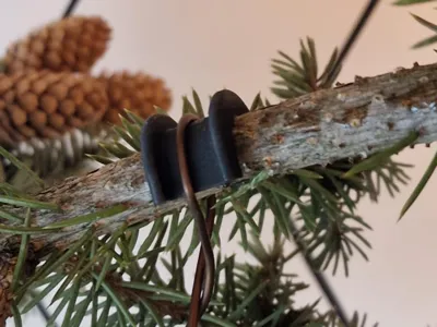 Branch and root saver bonsai bendig