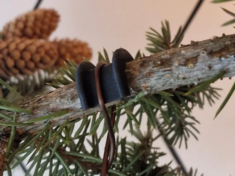 Branch and root saver bonsai bendig
