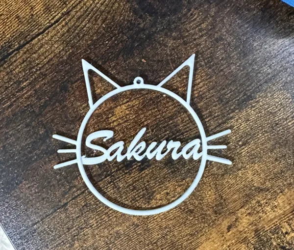 https://makerworld.bblmw.com/makerworld/model/US90cf15485f3efa/design/2024-11-03_6620f30134bcc.jpg