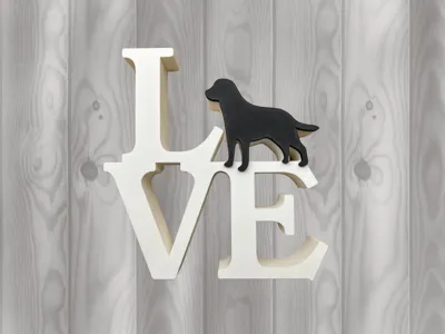 Love Labrador