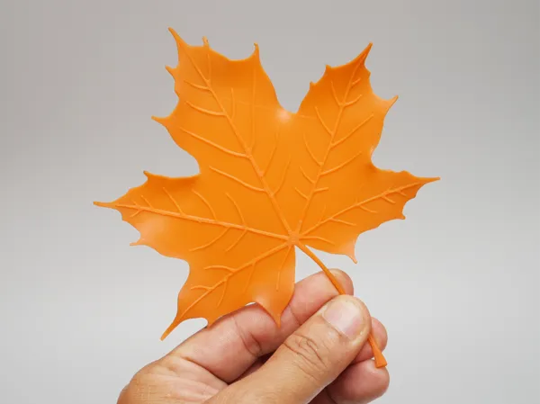 https://makerworld.bblmw.com/makerworld/model/US90d1289d6a02c0/design/80d31a2973da3307.jpg