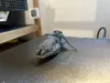 0.08mm layer, 2 walls, 10% infill