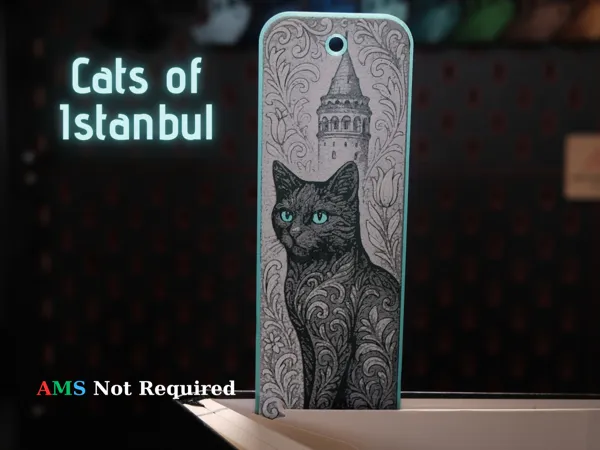 https://makerworld.bblmw.com/makerworld/model/US90d7dc4bb1eafe/design/2025-07-21_8cee768e39796.png