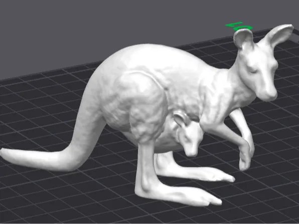 Kangaroo (Scan Revopoint Pop 3)