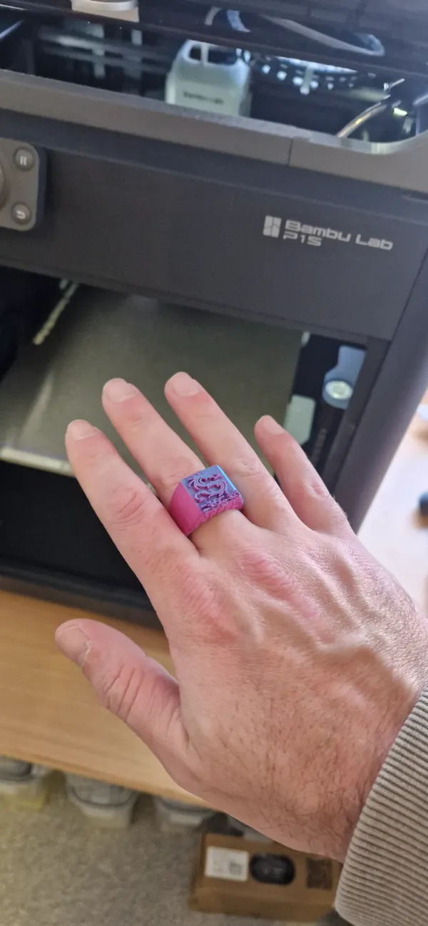 https://makerworld.bblmw.com/makerworld/model/US90d8cc1054ff1a/design/2024-01-06_3e5f4dcadd71c.jpg
