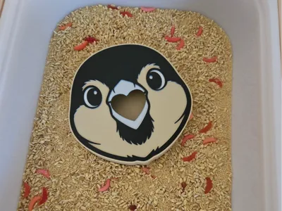 sparrow head box