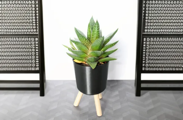 https://makerworld.bblmw.com/makerworld/model/US90da8a34423120/design/2024-03-17_9e9248ecd3e8d.jpg