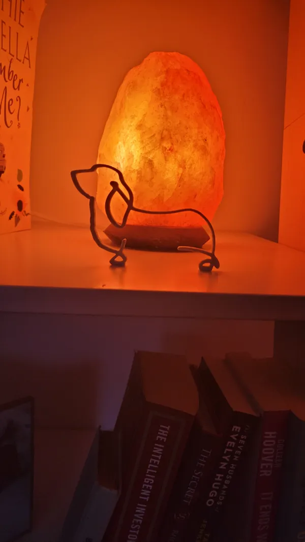 https://makerworld.bblmw.com/makerworld/model/US90dc6441f34745/design/2023-12-31_6b139cc69228c.jpg