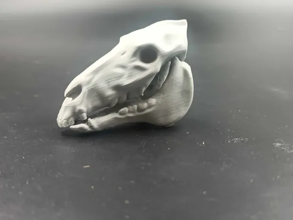 https://makerworld.bblmw.com/makerworld/model/US90dfceb3cf3675/design/2025-03-02_11fa1a0334df9.jpg