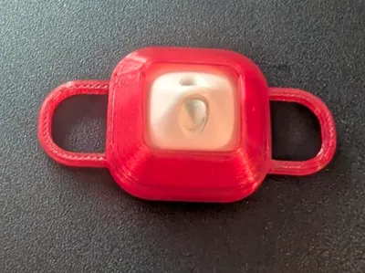 Cat RFID tag collar holder