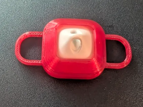 Cat RFID tag collar holder