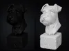 0.2mm layer, 2 walls, 3% infill