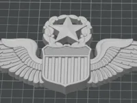 Insigne USAF pilote (grand modèle) — photo 1