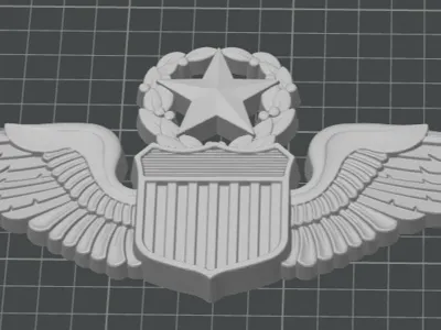 USAF PILOT WINGS BADGE MASTER
