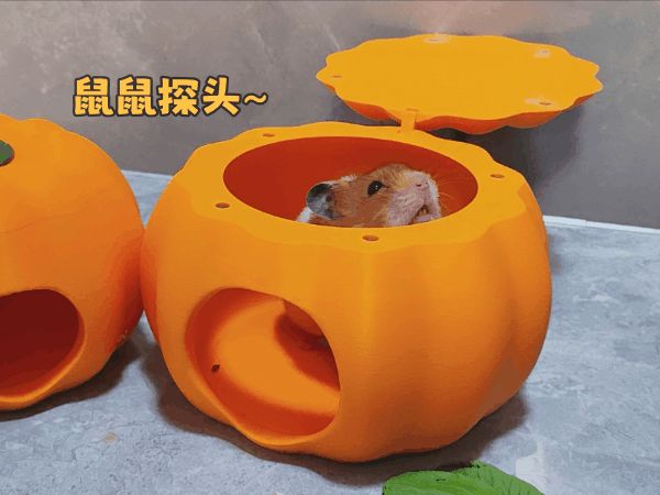 https://makerworld.bblmw.com/makerworld/model/US90eac9cb88170e/design/2025-07-14_bd1741f99d37.gif