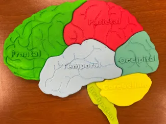 Kids Brain Puzzle