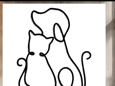 Dog and cat friends