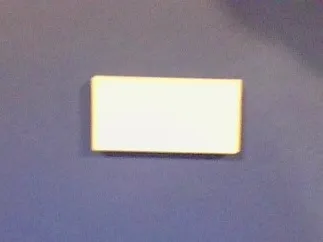 Domino