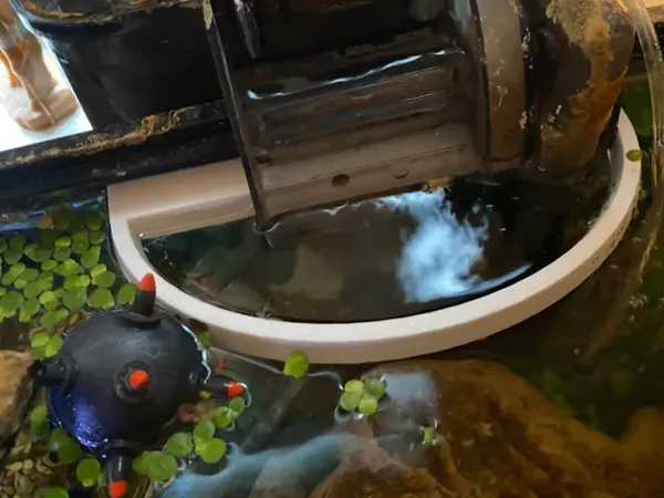 https://makerworld.bblmw.com/makerworld/model/US90eda48d0b3f1f/design/2024-09-22_89606b1b9cfb6.webp