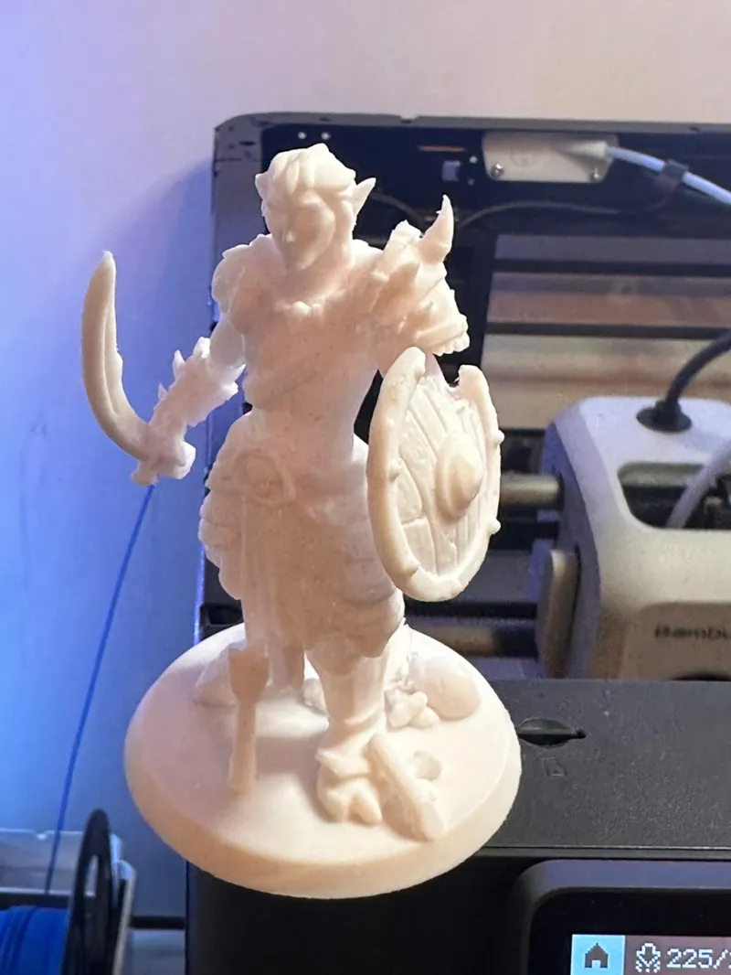 Elf barbarian