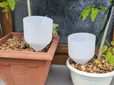 Watering Funnel - for efficient irrigation