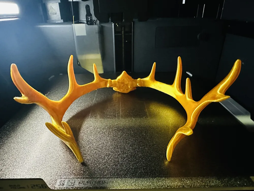 ビカクシダ Yellow Moon Dwarf Antler Crown ビカクシダ Yellow Moon