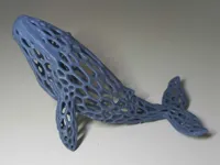 Baleine style Voronoi — photo 2