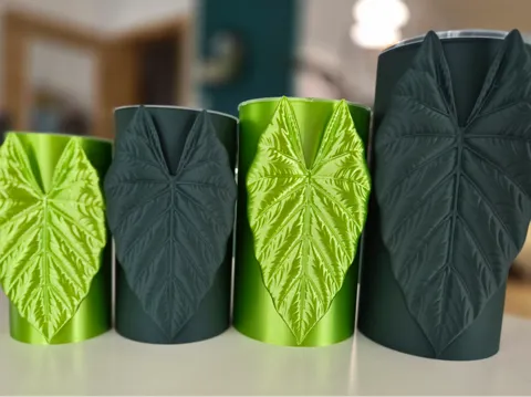 Maceta decorativa: Alocasia Scabriuscula self watering planter — referencia de MakerWorld