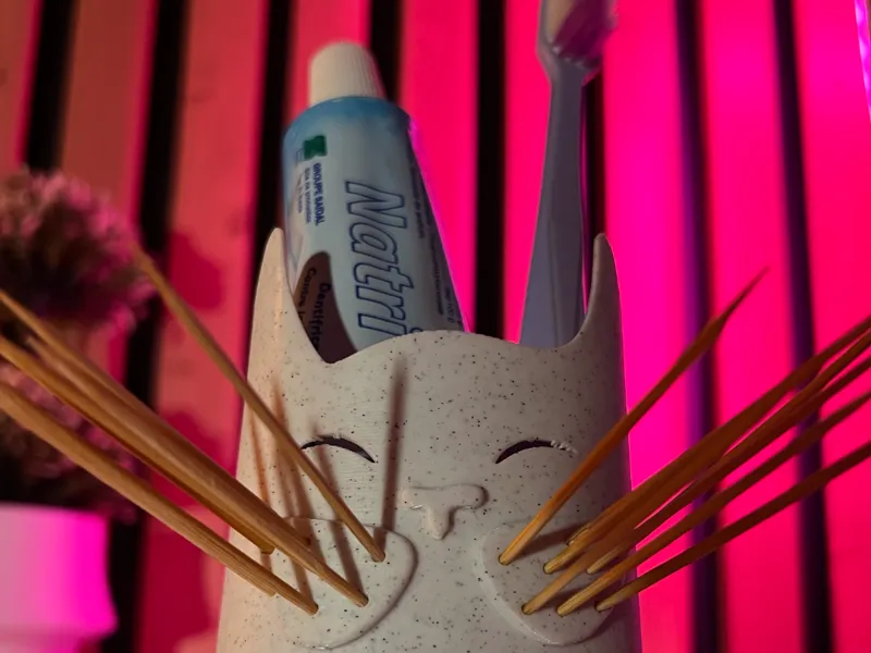 Toothbrush holder