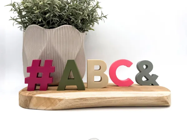 https://makerworld.bblmw.com/makerworld/model/US91197f70f2ccf0/design/961f1d1e0e91ccd2.jpg