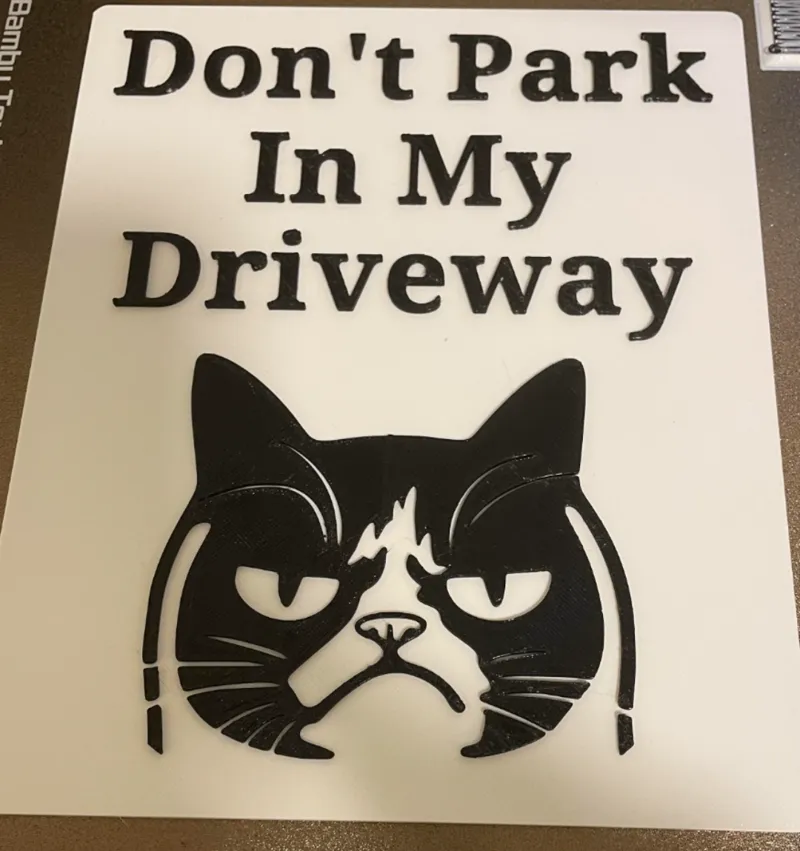 Grumpy cat don't park in my driveway