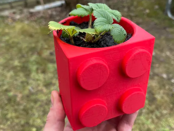 https://makerworld.bblmw.com/makerworld/model/US912738439397f6/design/2025-03-15_90c306712ded8.jpg