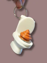 Toilet with Keychain hole