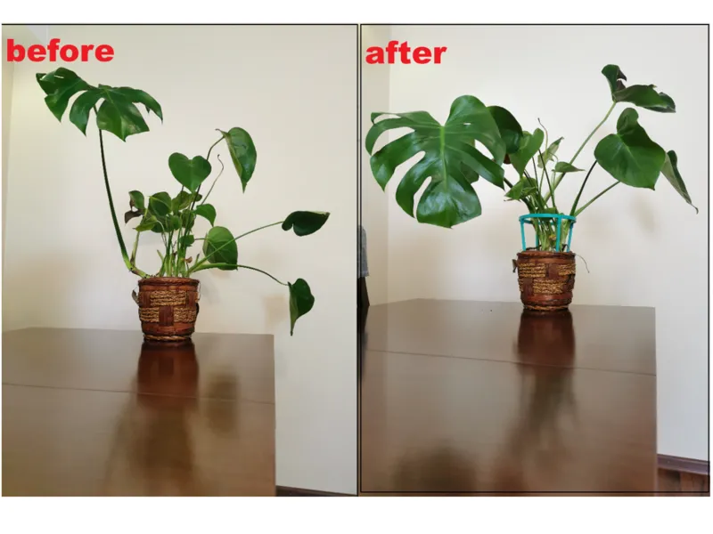Stackable plant support. No more broken flowers