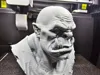 0.16mm layer, 2 walls, 5% infill