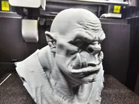0.16mm layer, 2 walls, 5% infill
