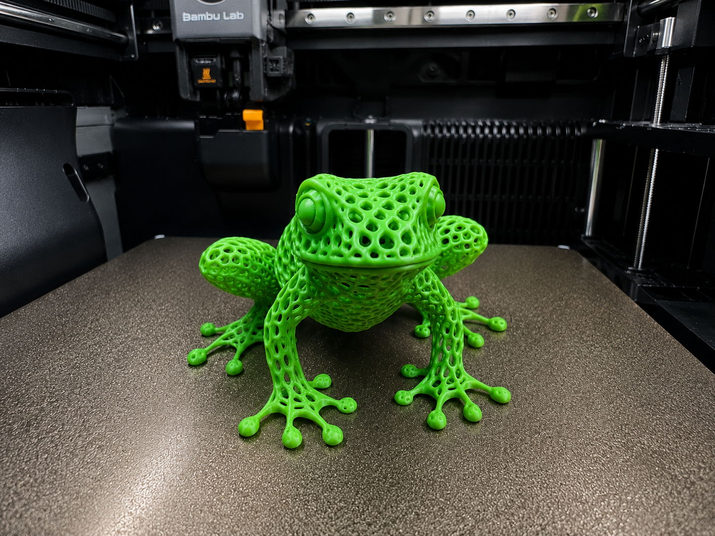 Voronoi Frosch